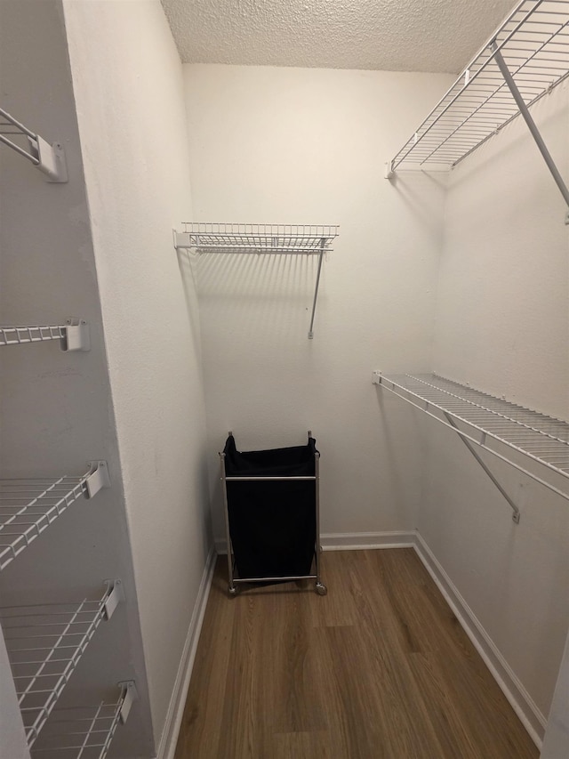 9369 Buck Haven Trl, Tallahassee, FL 32312 - walk in closet with wood finished floors
