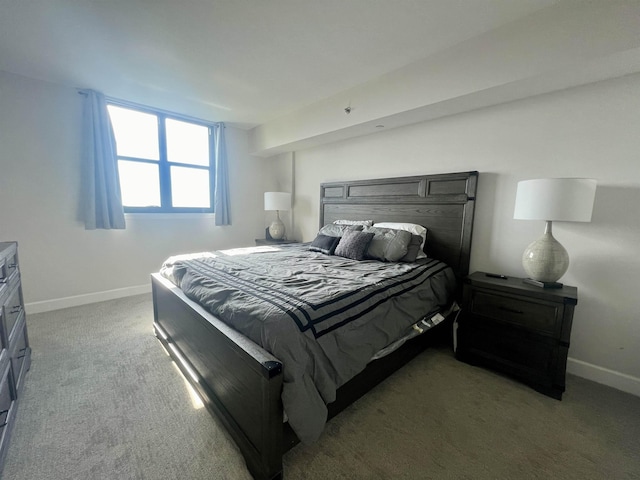 300 S Duval St Unit 1602, Tallahassee, FL 32301 - bedroom with light colored carpet and baseboards
