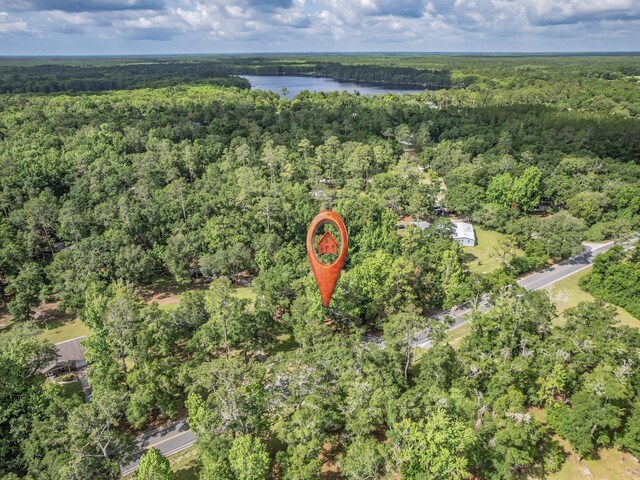 395 Emmett Whaley Rd, Crawfordville, FL 32327 - photo 12