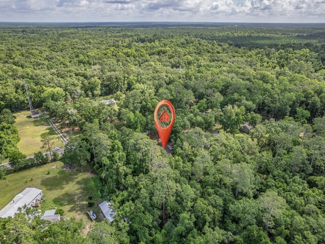 395 Emmett Whaley Rd, Crawfordville, FL 32327 - photo 13