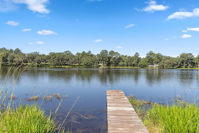 6995 Big Woods Dr, Tallahassee, FL 32309 - photo 4