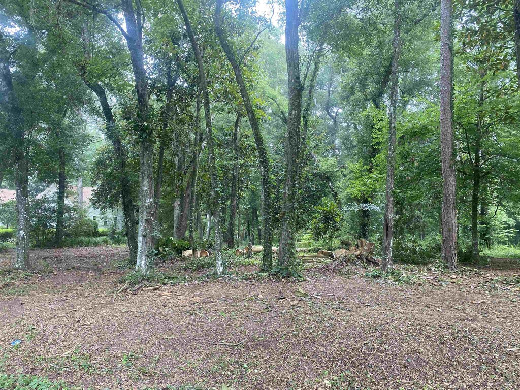 XX Yvonne Court, Havana, FL 32333 - photo 2