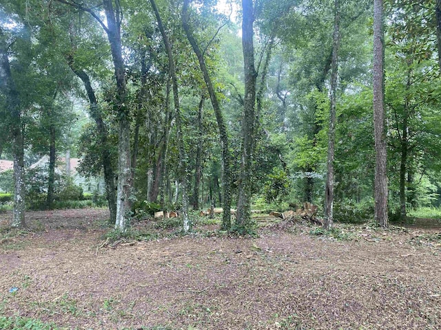 XX Yvonne Court, Havana, FL 32333 - photo 2