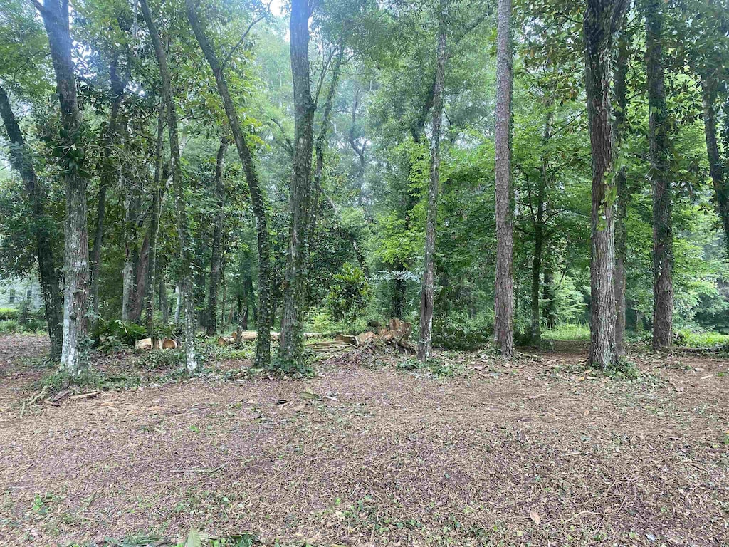 XX Yvonne Court, Havana, FL 32333 - photo 1