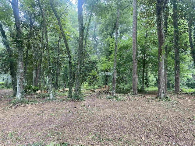 XX Yvonne Court, Havana, FL 32333 - photo 1