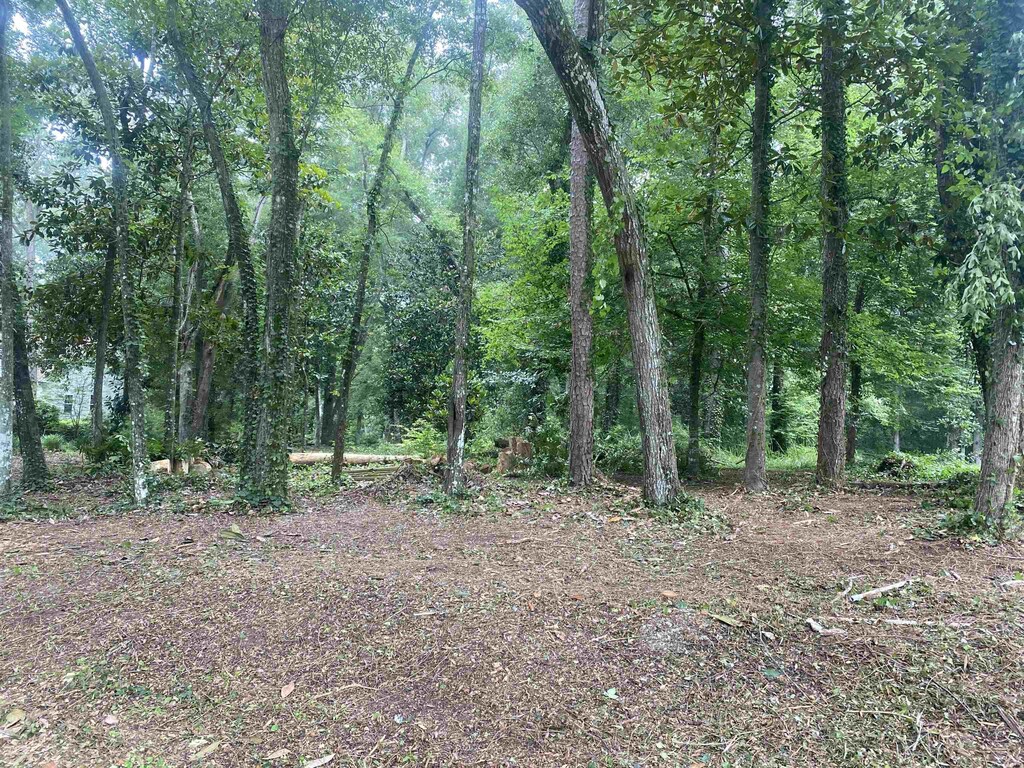 XX Yvonne Court, Havana, FL 32333 - photo 3