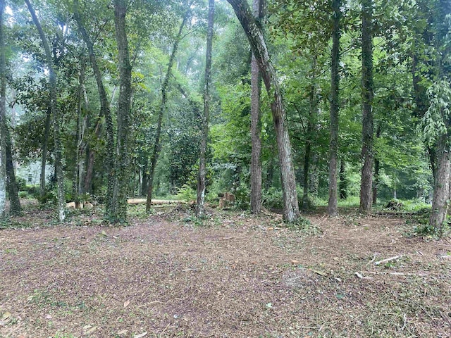 XX Yvonne Court, Havana, FL 32333 - photo 3