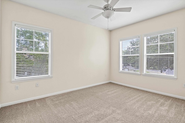 2801 Chancellorsville Dr, Tallahassee, FL 32312 - photo 12