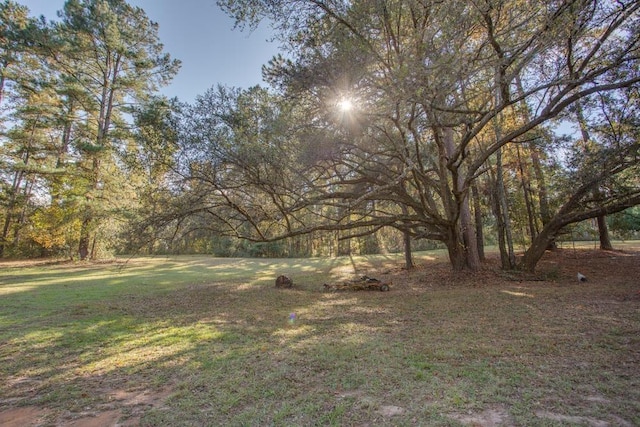 10283 Ashville Hwy, Greenville, FL 32331 - photo 40