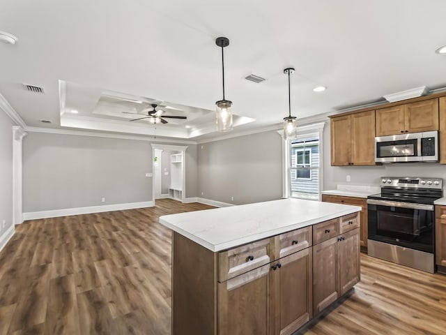 kitchen featuring crown molding, stainless steel appliances, a tray ceiling, and a kitchen island