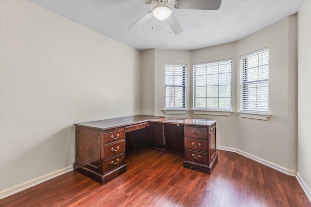 unfurnished office featuring ceiling fan, plenty of natural light, and dark hardwood / wood-style flooring