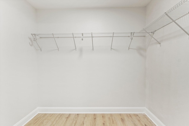 2224 Keith St, Tallahassee, FL 32310 - walk in closet featuring light wood-type flooring