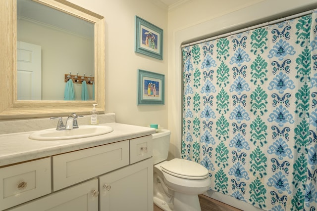 bathroom featuring crown molding, vanity, and toilet