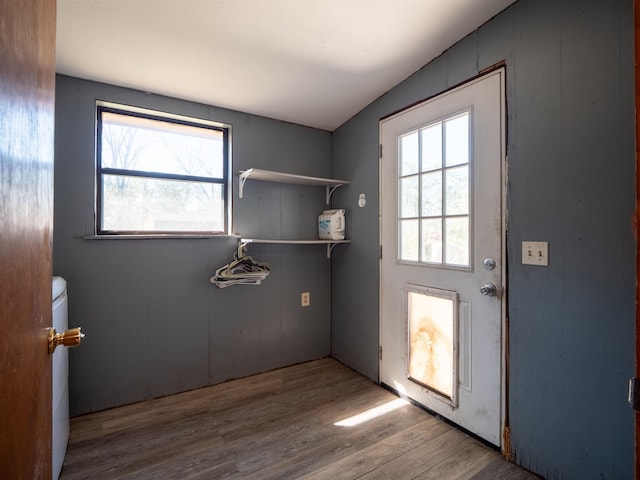 doorway featuring a wealth of natural light and wood finished floors