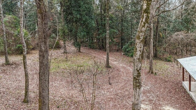 220 Deer Pass, Havana, FL 32333 - view of nature featuring a forest view