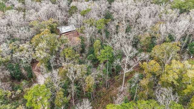 220 Deer Pass, Havana, FL 32333 - drone / aerial view