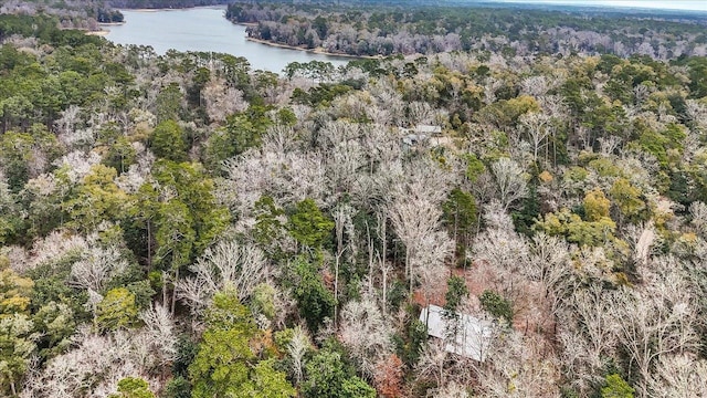220 Deer Pass, Havana, FL 32333 - birds eye view of property featuring a water view and a forest view