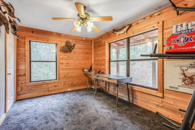 220 Deer Pass, Havana, FL 32333 - unfurnished office featuring wooden walls, a wealth of natural light, and carpet