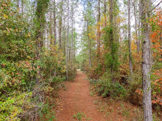 Pine Bluff Trl, Tallahassee FL, 32312 land for sale