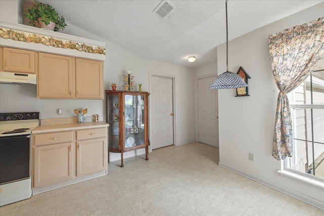 2419 Basswood Ln, Tallahassee, FL 32308 - photo 11