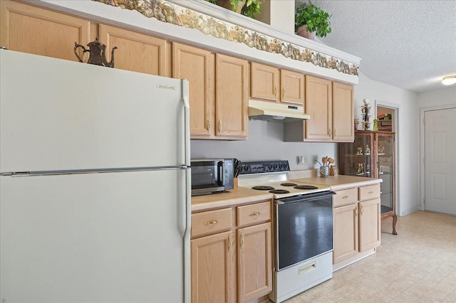 2419 Basswood Ln, Tallahassee, FL 32308 - photo 43