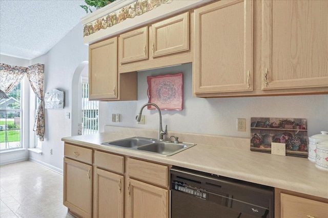 2419 Basswood Ln, Tallahassee, FL 32308 - photo 42