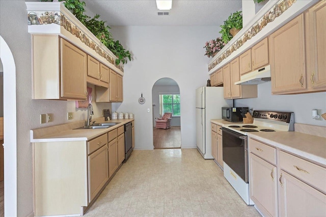 2419 Basswood Ln, Tallahassee, FL 32308 - photo 9
