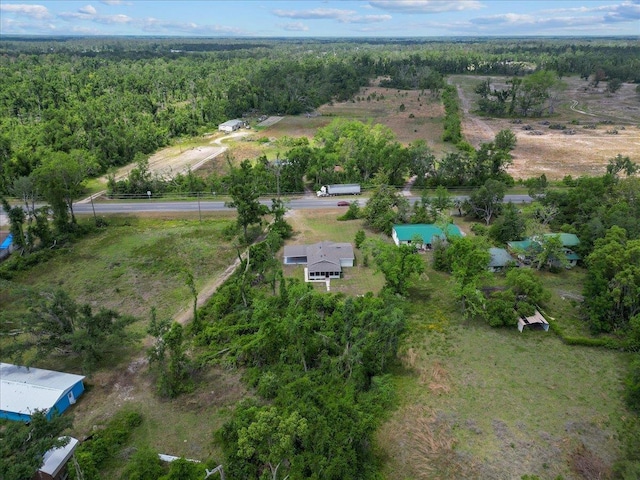 1822 N US-221, Perry, FL 32347 - bird's eye view with a wooded view