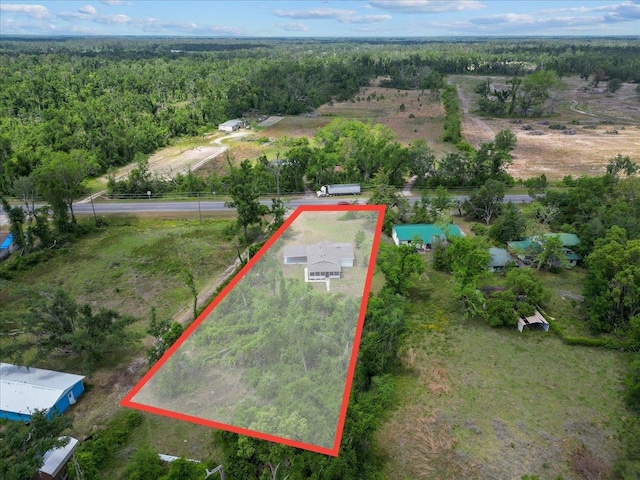 1822 N US-221, Perry, FL 32347 - birds eye view of property with a view of trees