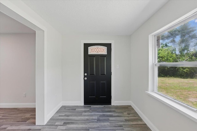 1822 N US-221, Perry, FL 32347 - entryway with baseboards, a textured ceiling, wood finished floors, and a wealth of natural light