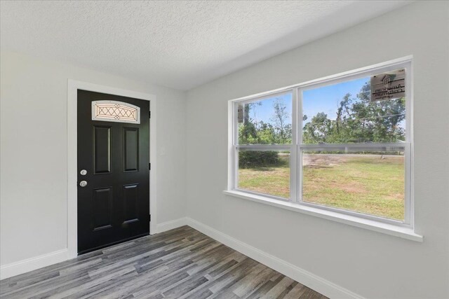 1822 N US-221, Perry, FL 32347 - entrance foyer featuring baseboards, a textured ceiling, and wood finished floors