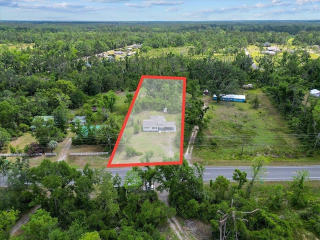 1822 N US-221, Perry, FL 32347 - aerial view with a forest view