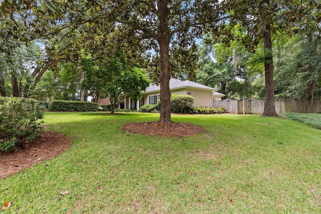 3690 Dexter Dr, Tallahassee, FL 32312 - view of yard