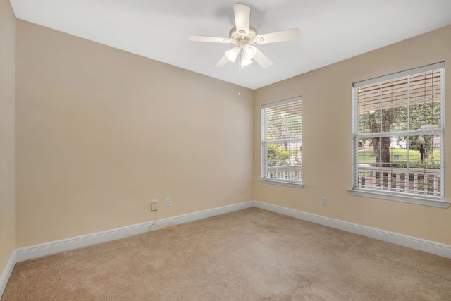 3333 Newton Abbott Dr, Tallahassee, FL 32317 - photo 3