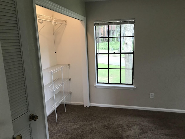 2247 Shady Timbers Cir Unit C, Tallahassee, FL 32304 - walk in closet featuring carpet flooring