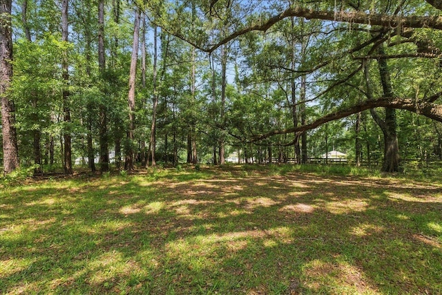 7474 Creekridge Cir, Tallahassee, FL 32309 - photo 67