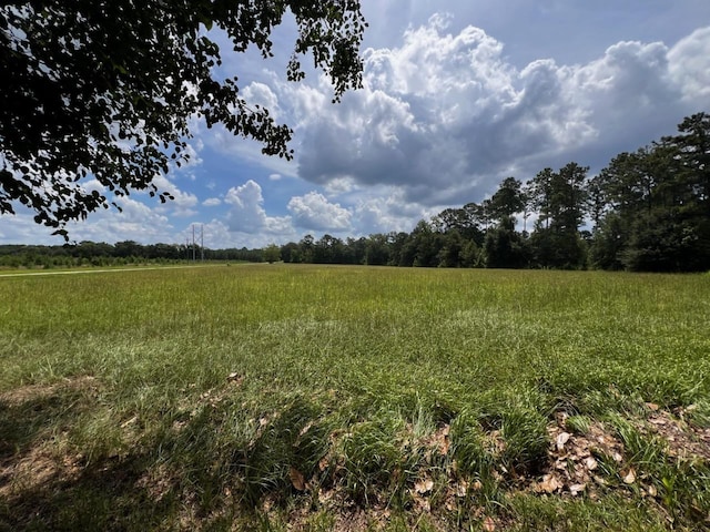 0 Solomon Dairy Rd, Quincy, FL 32351 - photo 1