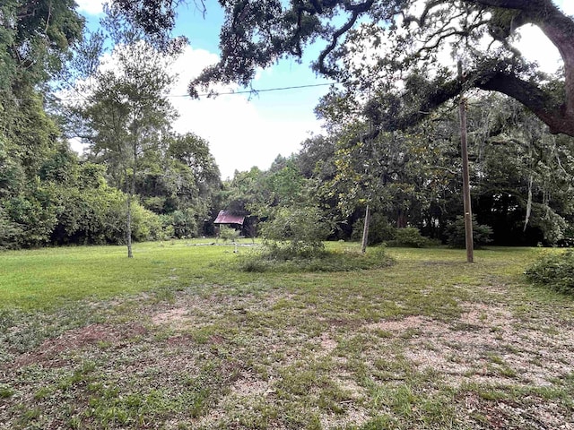 1532 Country Ln, Tallahassee, FL 32304 - photo 16