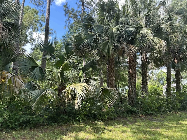 1532 Country Ln, Tallahassee, FL 32304 - photo 11