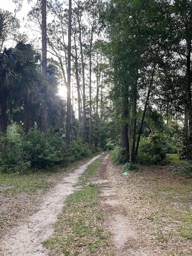 1532 Country Ln, Tallahassee, FL 32304 - photo 42