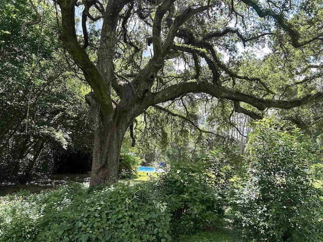 1532 Country Ln, Tallahassee, FL 32304 - photo 44