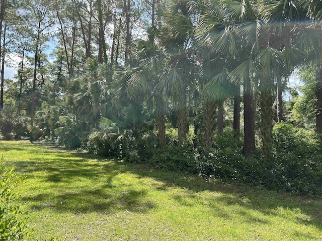 1532 Country Ln, Tallahassee, FL 32304 - photo 10