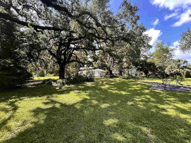 1532 Country Ln, Tallahassee, FL 32304 - photo 14
