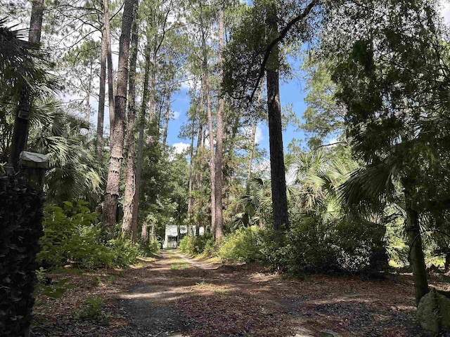 1532 Country Ln, Tallahassee, FL 32304 - photo 9