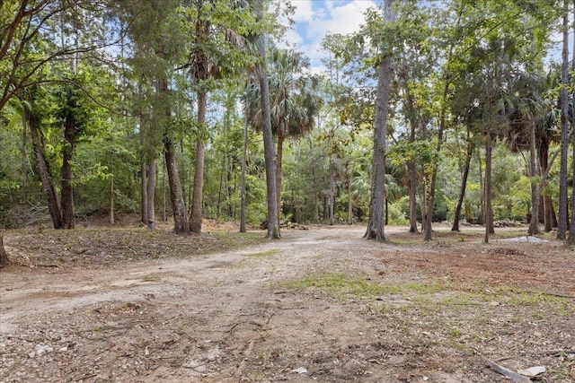1334 Jr Howell Rd, Steinhatchee, FL 32359 - view of tree filled area
