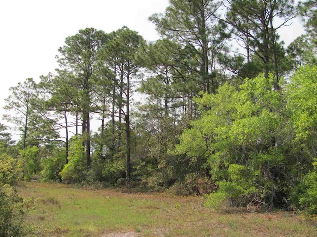 Listing photo 3 for Lucy Ln, Panacea FL 32346