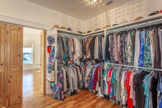 spacious closet with hardwood / wood-style flooring