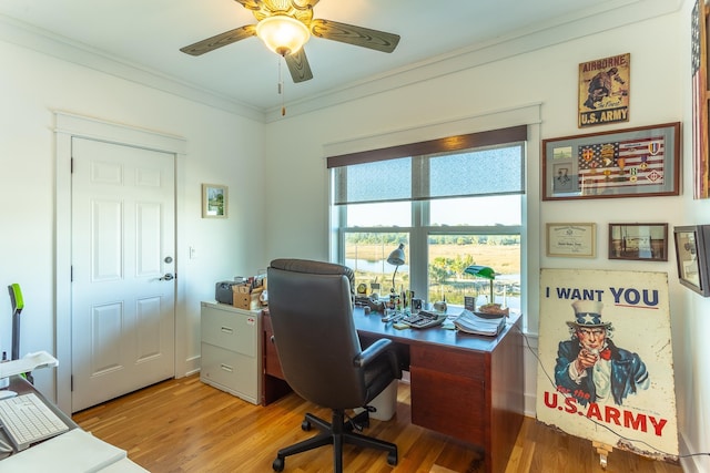 office space with ceiling fan, crown molding, and light hardwood / wood-style flooring