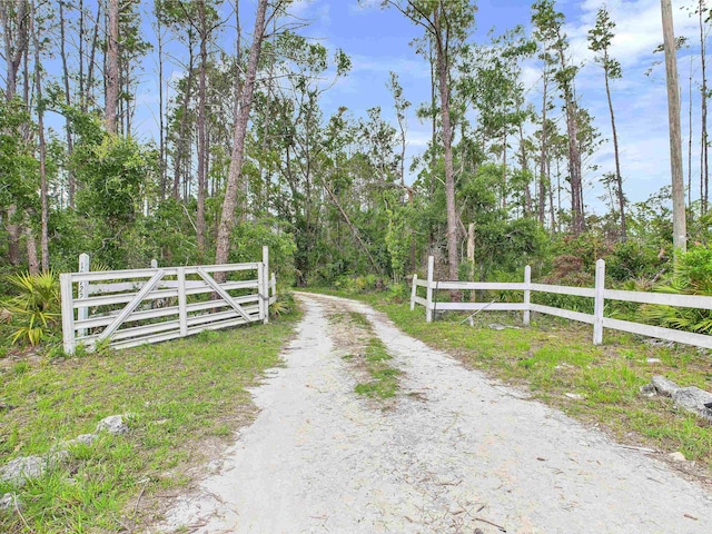 18722 Key Deer Ct, Keaton Beach, FL 32348 - view of dirt / gravel road featuring a wooded view