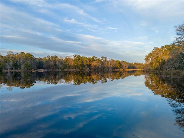 231 Sheline Dr, Havana, FL 32333 - water view with a forest
